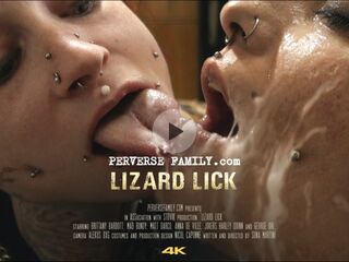 S02E16 Lizard Lick
