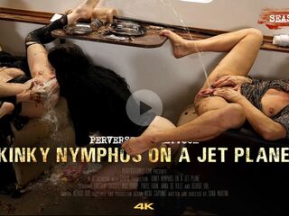 Perverse Family s05e04 - Kinky Nymphos on a Jet Plane