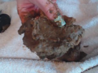 Poo fuck with tasting shit