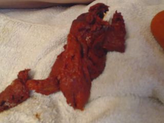 Red Poo play after watermelon