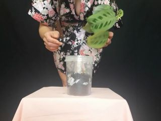 Scatlina   I Plant a Flower and Fertilize It