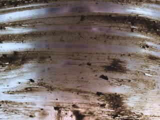 SweetBettyParlour.19.10.22   Monstrous wife poop Б─≥nБ─≥ ass play!