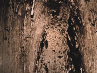 SweetBettyParlour.19.10.22   Monstrous wife poop Б─≥nБ─≥ ass play!