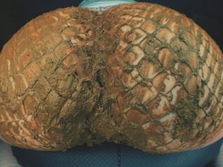 SweetBettyParlour.20.09.23   ItБ─≥s all about delicious shit!