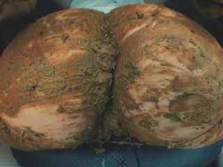 SweetBettyParlour.20.09.23   ItБ─≥s all about delicious shit!