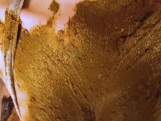 SweetBettyParlour.19.05.15   Its SweetBettyParlour! Yaay! II