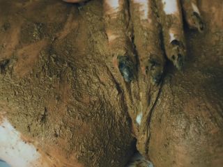 SweetBettyParlour.20.03.07   OI! Scat beauty with dirty pussy