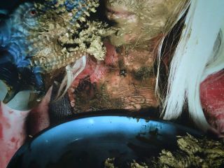 SweetBettyParlour.21.03.31   Scat Witch With Toy