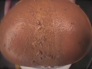 SweetBettyParlour.19.12.22   Spicy soup vs yellow tights