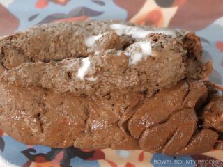 06   ArtOfScat   BOWEL BOUNTY BECOMES BIOHAZARD