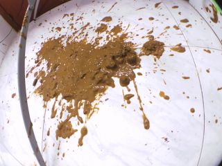 SweetBettyParlour.20.10.12   INSANE Diarrhea All Over