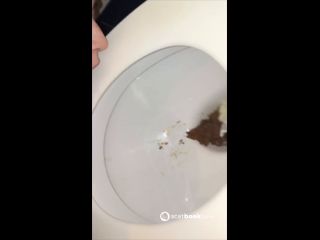 Toilet darkfans